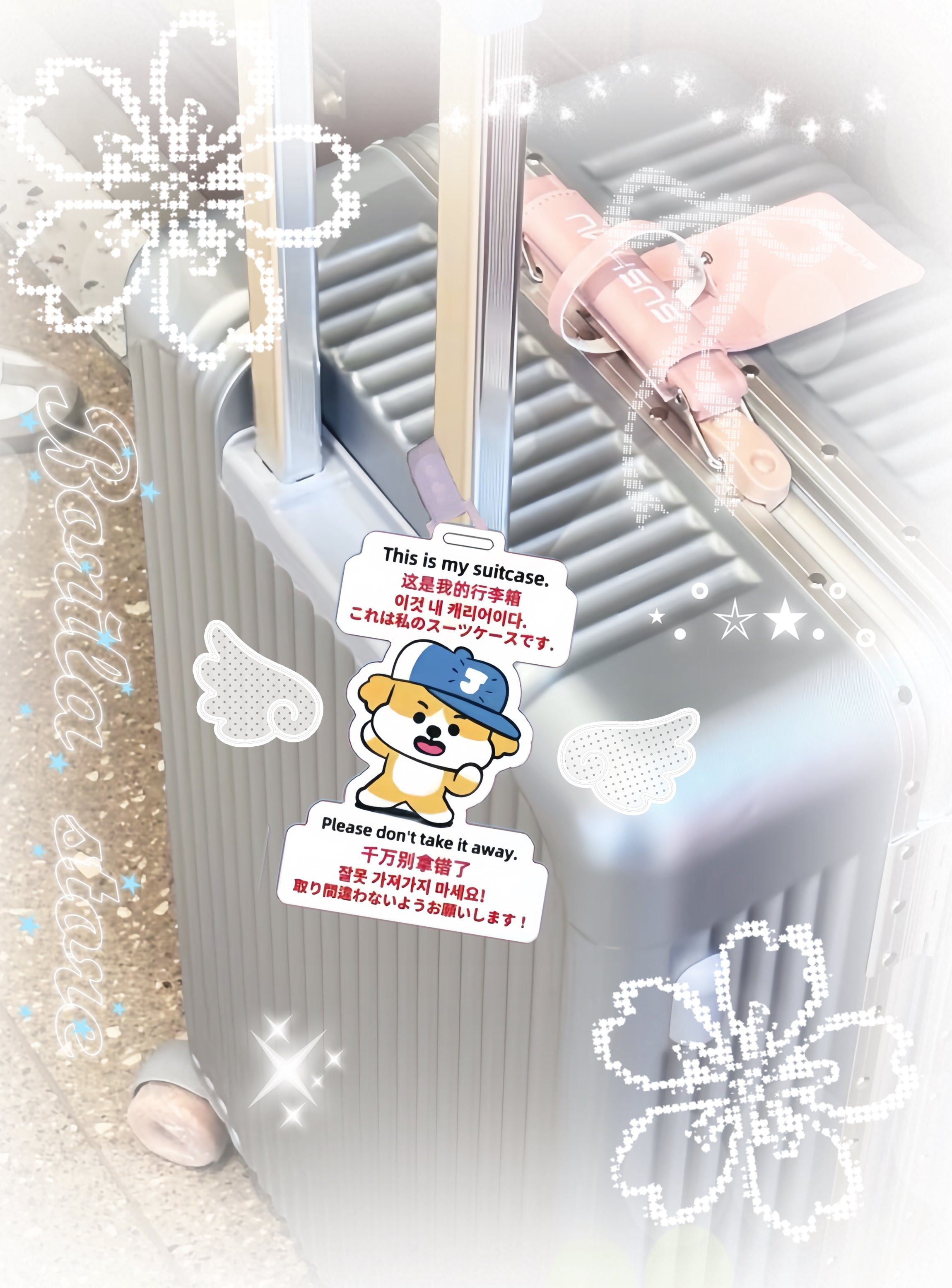 EN-Fanmade Luggage Tag