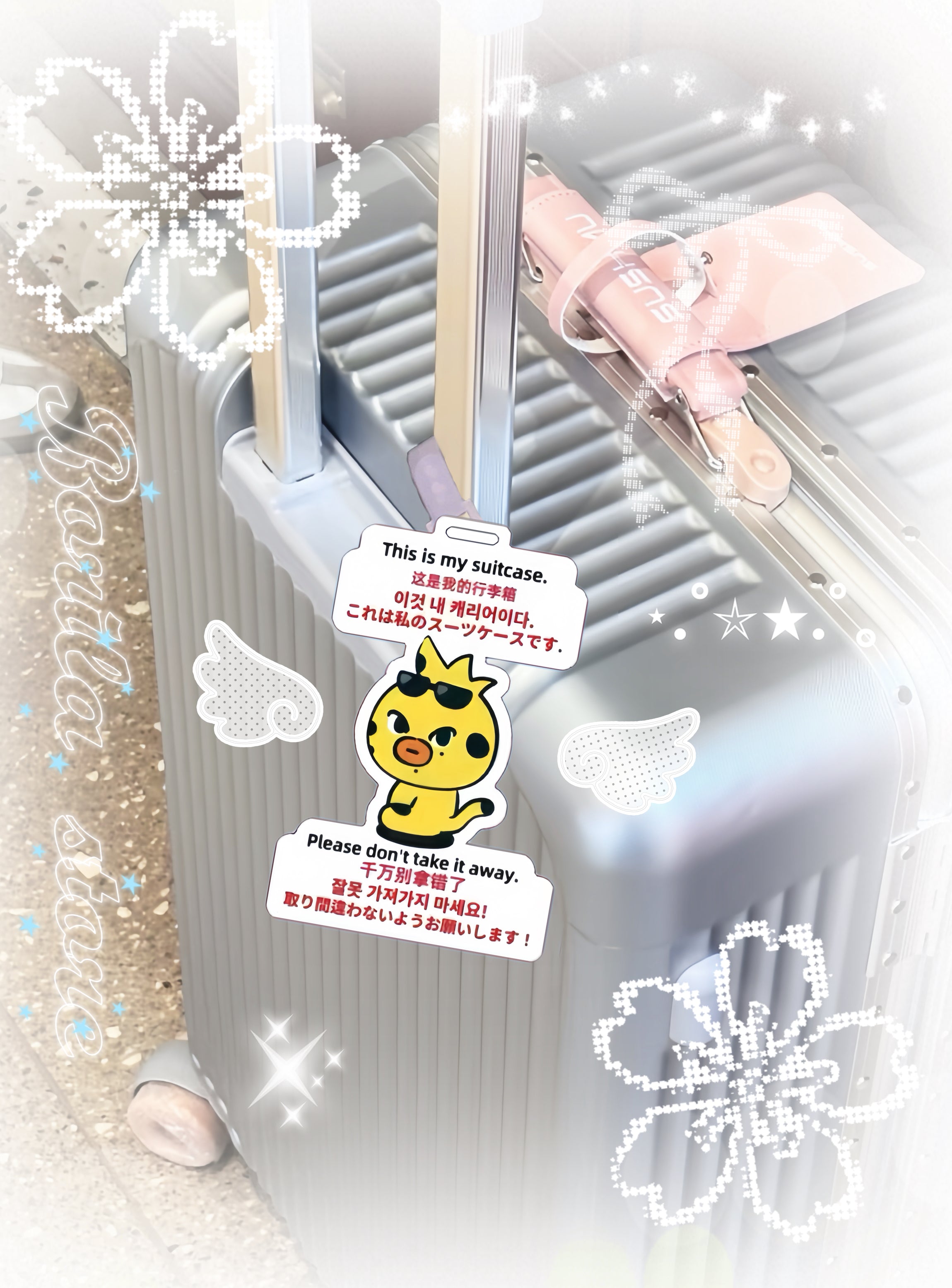 EN-Fanmade Luggage Tag